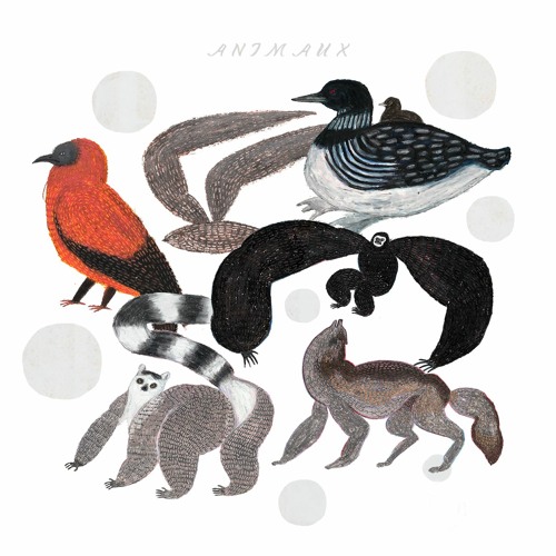 Jelisejev Animaux Loon Naras By J Jelisejev