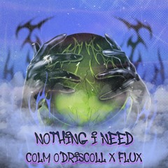 Nothing i need Colm O' Driscoll x Flux