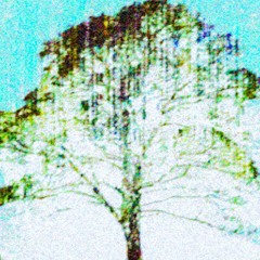 false land
