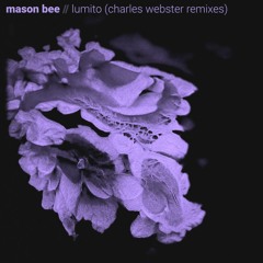 Mason Bee - Lumito (Charles Webster Remix) [Pollen Kit Recordings]