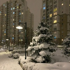 Zach Farache - The Loser (The Loop We All Want)