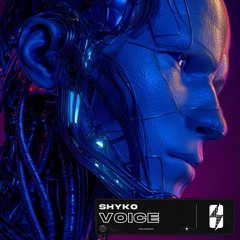 Shyko - Voice (Extended Mix).wav