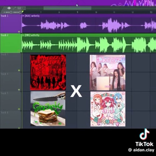 Gnarly TikTok Version by aidan.clay (Rob Hellion Bootleg)