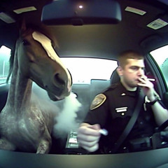 AZMATIKO SETT PULENTO