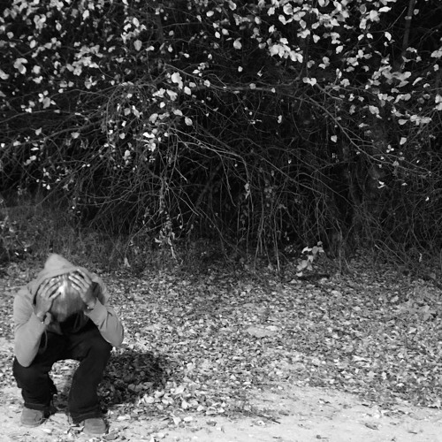 prevail p. overdzse x magi