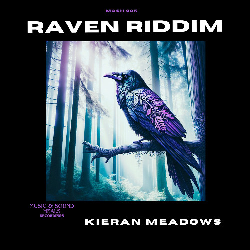 RAVEN RIDDIM - Kieran Meadows