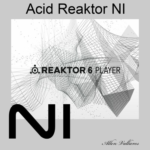 Acid Reaktor NI