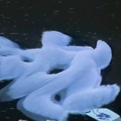 Nose ni para q lo hago