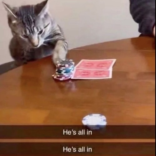 s5 x eazymarts - all in [j3fe x bw]