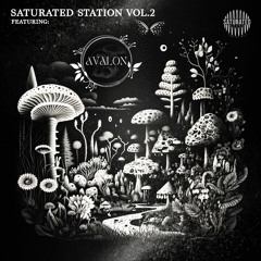 SATURATED STATION - VOL. 2 - AVALON