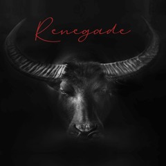 Renegade - Techno, Acid, & Hardstyle
