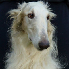 ⋆｡ﾟ☁︎｡⋆｡ ﾟ☾ ﾟ｡⋆