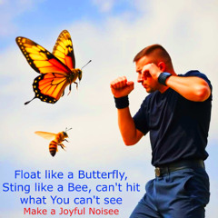 Float like a Butterfly, Sting like a Bee, can't hit what You can't see