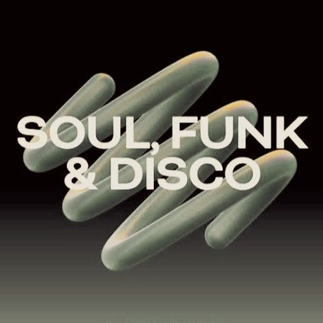 Stream Soulful Funk House by Jerry.DJ. | Listen online for free on