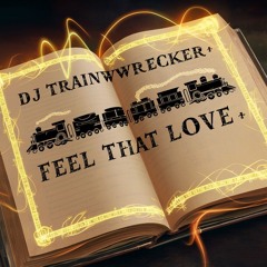 DJ TrainWrecker - Feel That Love