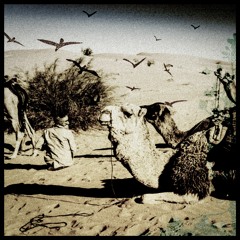 Traveler (Instrumental)