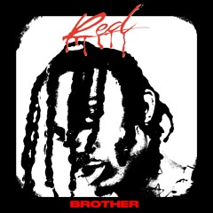 Brother (feat. Playboi Carti) [Die4Guy Remix]