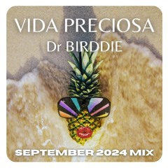 Vida Preciosa // September 2024 Mix