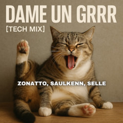 Selle, Zonatto e Saulkenn  - Dame Un Grrr