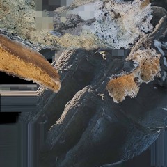cairn live @UNIT 20241116