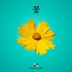 L.E.C - Coreopsis