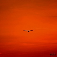 vitruvian (prod. Marow)