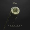 s y m b i o s e DJ mix artwork - Electronic music tracklist cover image