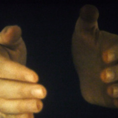 biodiversita valle de codpa