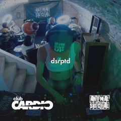 animal-social w/ club cardio