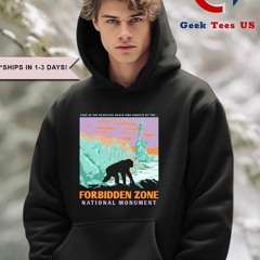 Forbidden Zone National Monument take in the beautiful beach side sunsets art shirt