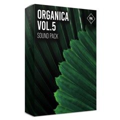PML - Organica - The Feeling (Diva And Live 11)
