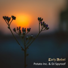 Potato Inc. & DJ Spyroof - Early Rebel