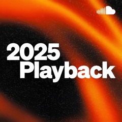 My 2025 Playback