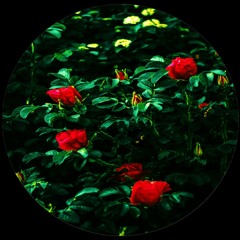 FREE DOWNLOAD: g̷r̷a̷h̷a̷m̷ - RunUpDaBlock