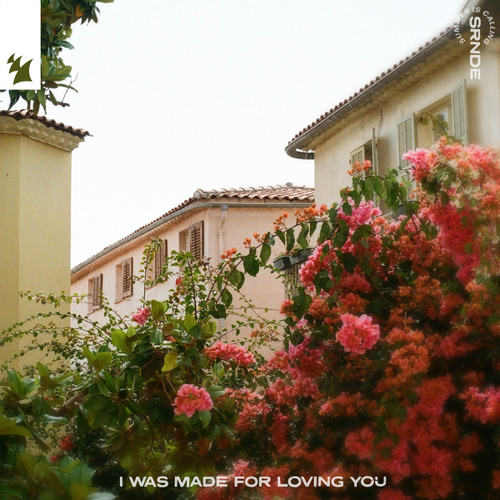 I Was Made For Loving You