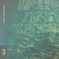 Trip 21 - pnk pnthr