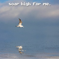 soar high for me.