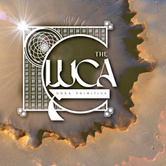 Obra Primitiva presents The LUCA