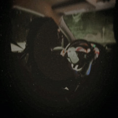 rental (prod sw!sh x emildollaz)