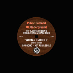 Woman Trouble (Remix) [feat. Craig David & Robbie Craig]