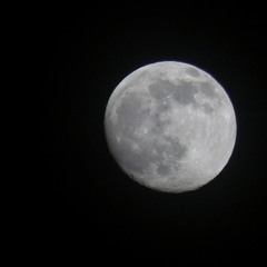 diversity ride @apostrophé