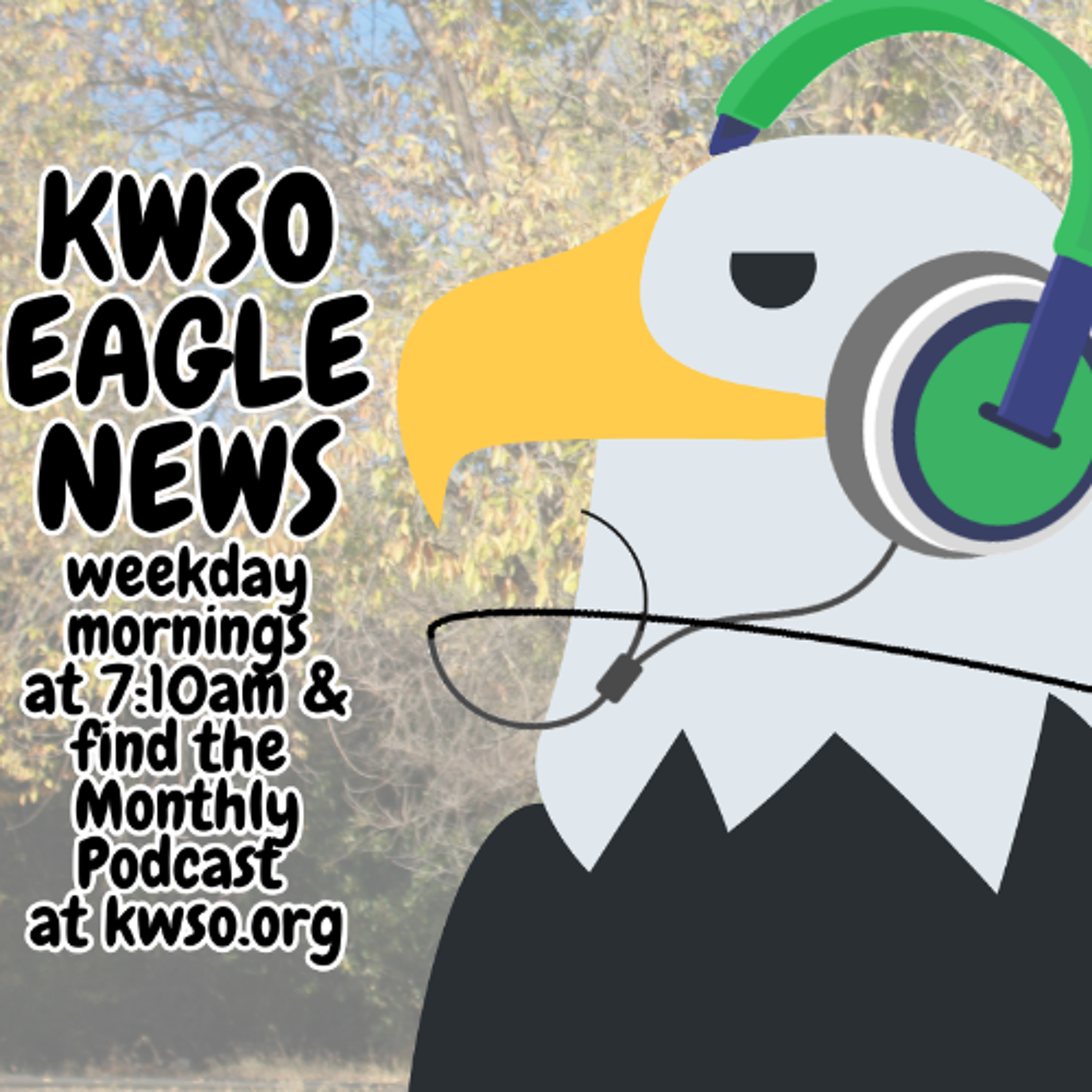 KWSO WSK8 Eagle News - November 2025 Podcast episode artwork