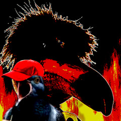 GONEGOONER