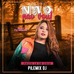 Mari Fernandez - Não, Não Vou (Passa Lá em Casa) - Remix (PileMix DJ)