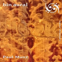 bin aural #17 w/ Paul Munz 17.12.24