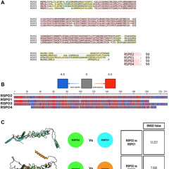 New Gene Linked to Aggressive, Treatment-Resistant Prostate Cancer