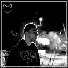 Diskokatze - KatzenGEjammer Podcast #017