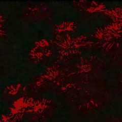 Pensé que si me perdía iba a poder volver