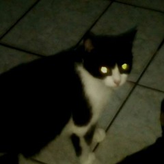 how can you swallow so much sleep