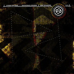 PREMIERE - Viper Patrol - Dancing Voices (Paisley Dark Records)